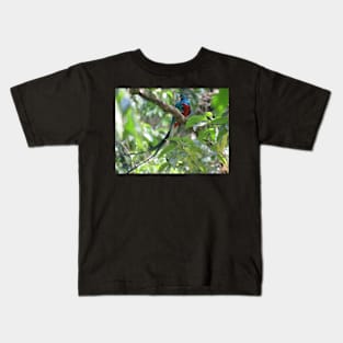 Male Quetzal in Tree Kids T-Shirt